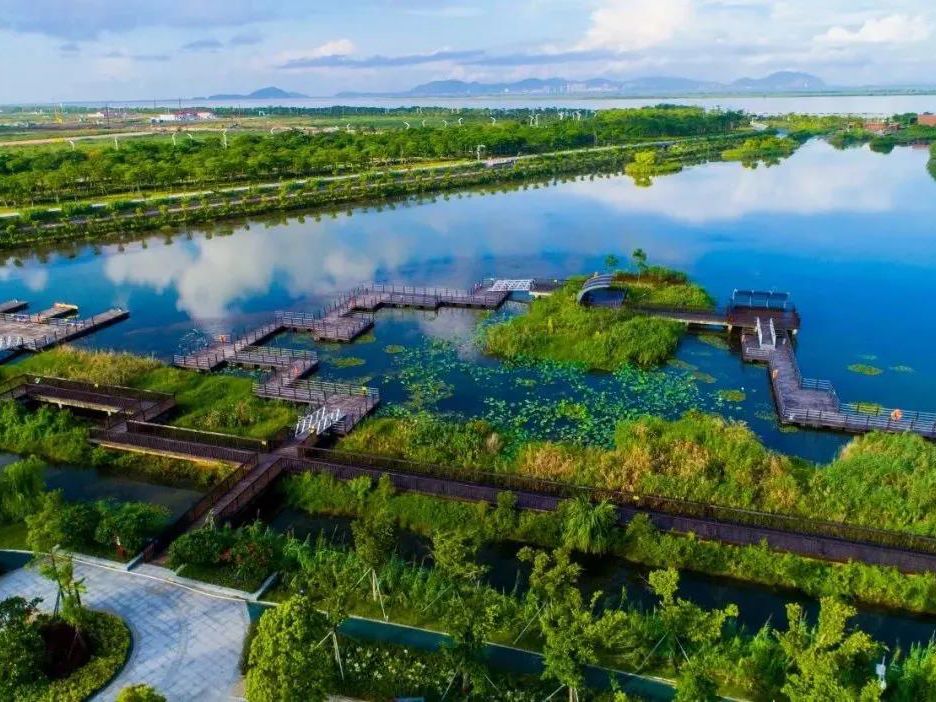 珠海芒洲湿地公园