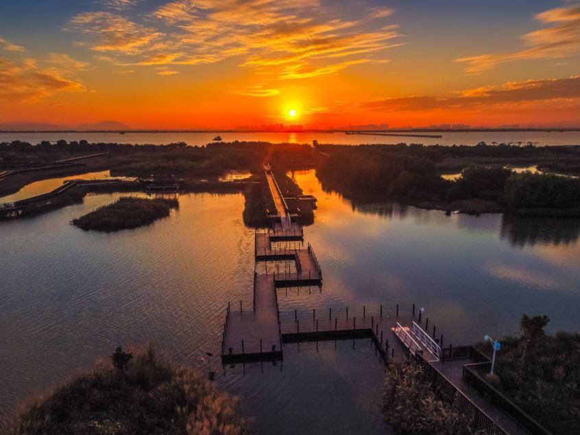珠海芒洲湿地公园