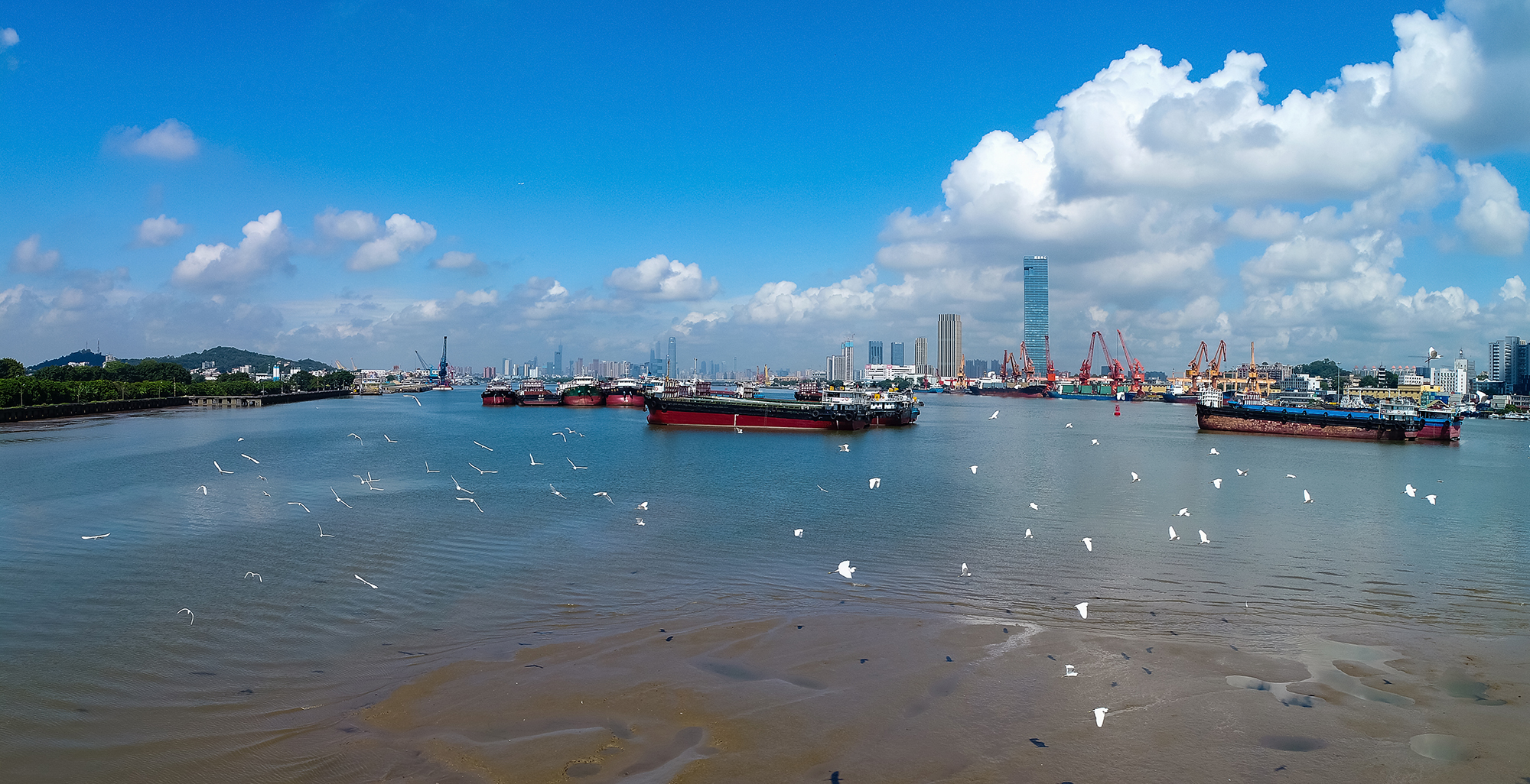 黄埔港区 来源：广州市水务局