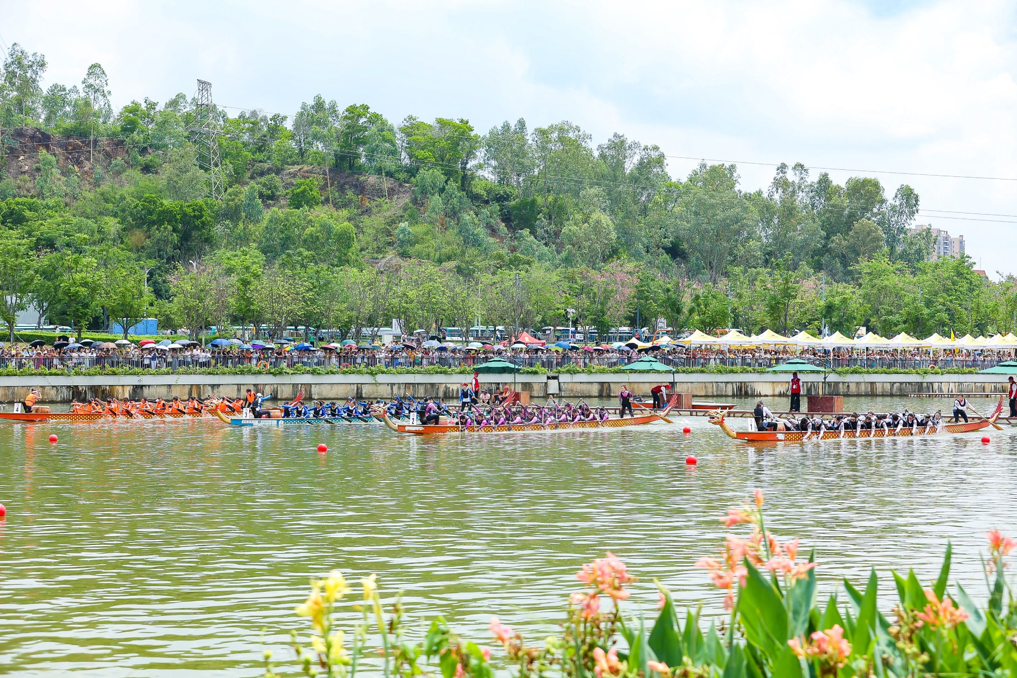 深圳市茅洲河省级水利风景区——茅洲河龙舟赛