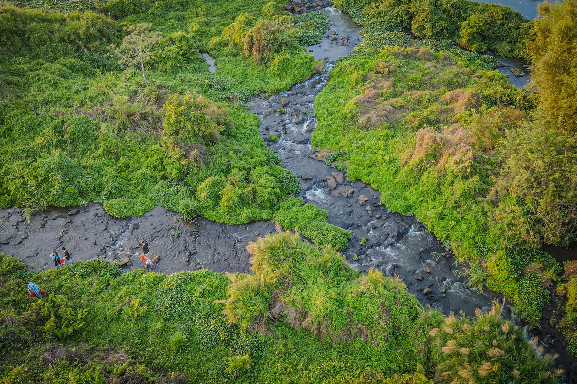 湛江市大水桥河